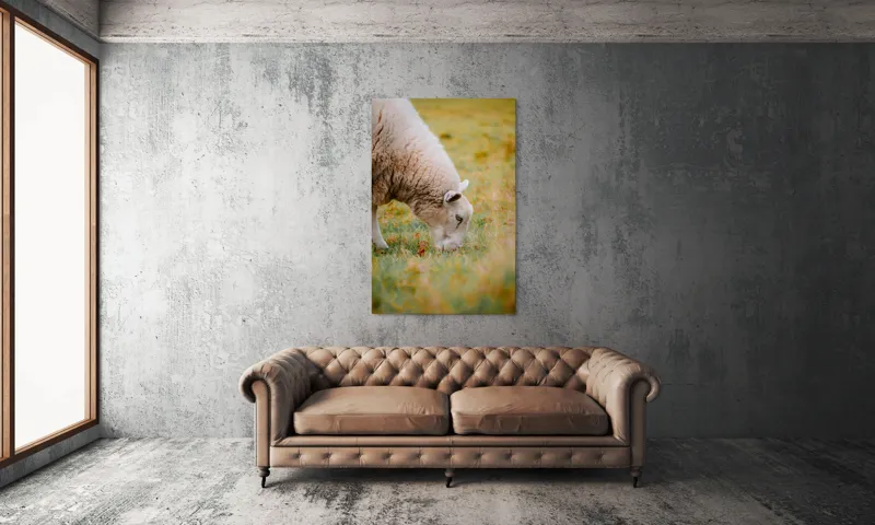 Tablou Canvas, "Oaia paște în liniștea pășunii", Oi, Pajiște, Verde, Blană, Mâncat, Natură, Serenitate, Liniște, Peisaj, Idilică, 100 x 150 cm – poza 6