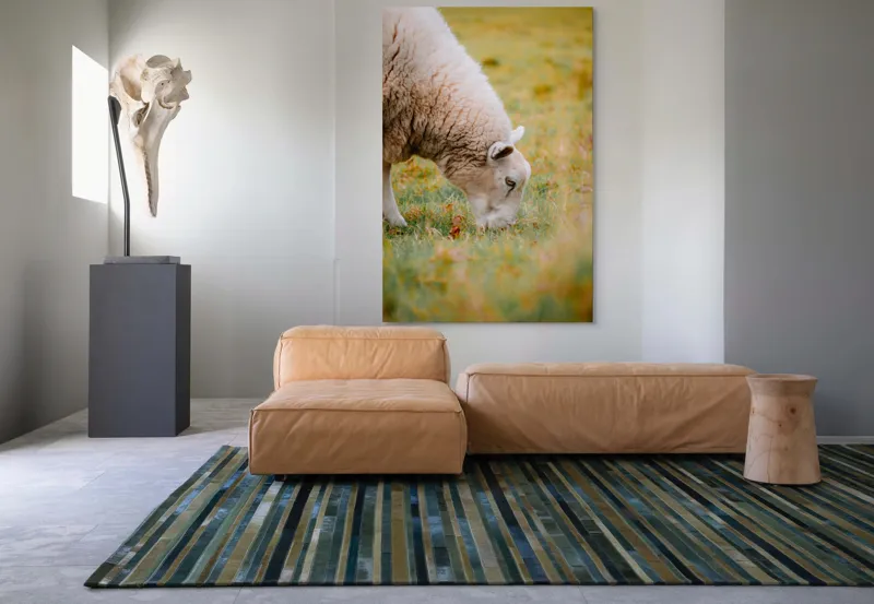 Tablou Canvas, "Oaia paște în liniștea pășunii", Oi, Pajiște, Verde, Blană, Mâncat, Natură, Serenitate, Liniște, Peisaj, Idilică, 100 x 150 cm – poza 7