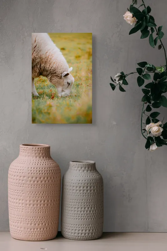 Tablou Canvas, "Oaia paște în liniștea pășunii", Oi, Pajiște, Verde, Blană, Mâncat, Natură, Serenitate, Liniște, Peisaj, Idilică, 26 x 39 cm – poza 6