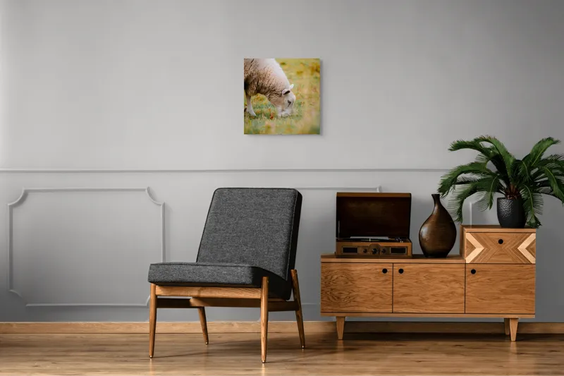Tablou Canvas, "Oaia paște în liniștea pășunii", Oi, Pajiște, Verde, Blană, Mâncat, Natură, Serenitate, Liniște, Peisaj, Idilică, 50 x 50 cm – poza 6
