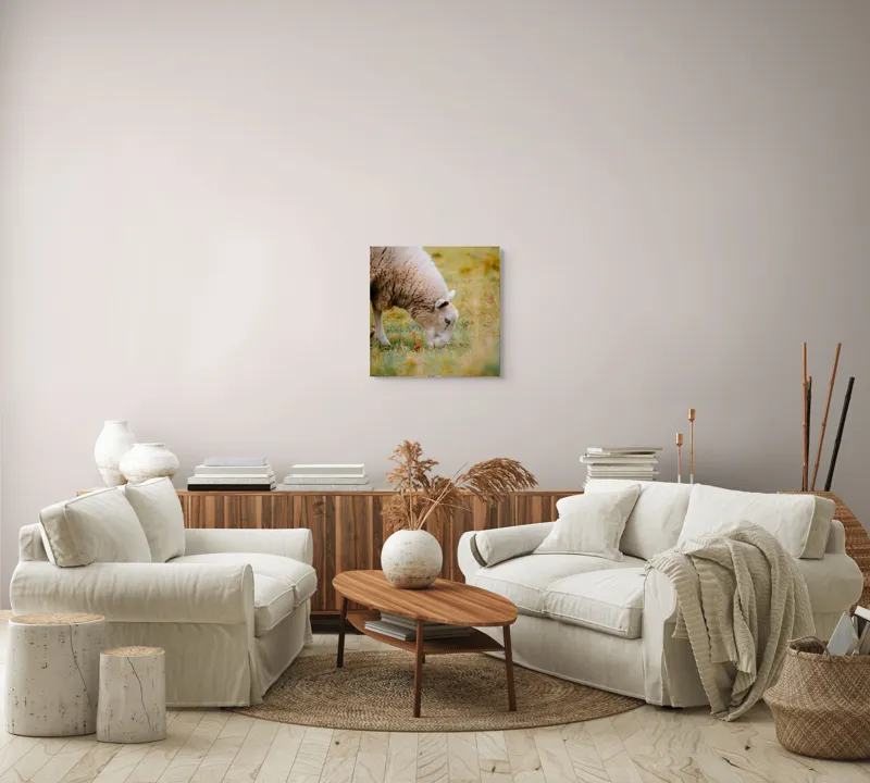 Tablou Canvas, "Oaia paște în liniștea pășunii", Oi, Pajiște, Verde, Blană, Mâncat, Natură, Serenitate, Liniște, Peisaj, Idilică, 50 x 50 cm – poza 7
