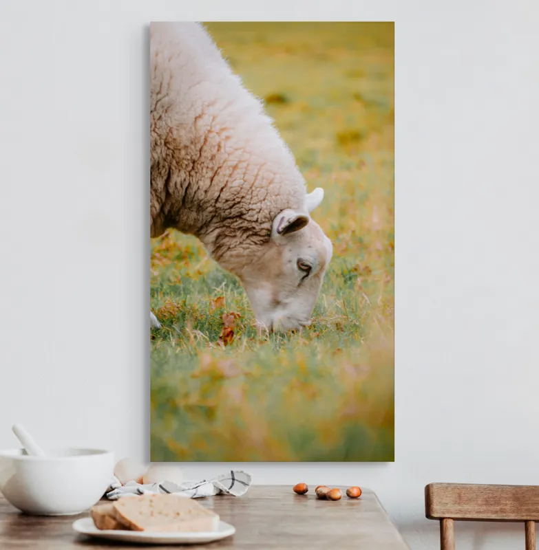 Tablou Canvas, "Oaia paște în liniștea pășunii", Oi, Pajiște, Verde, Blană, Mâncat, Natură, Serenitate, Liniște, Peisaj, Idilică, 50 x 90 cm – poza 3