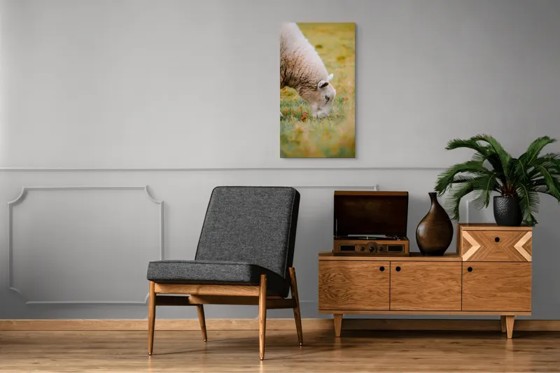 Tablou Canvas, "Oaia paște în liniștea pășunii", Oi, Pajiște, Verde, Blană, Mâncat, Natură, Serenitate, Liniște, Peisaj, Idilică, 50 x 90 cm – poza 8