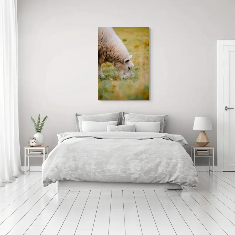 Tablou Canvas, "Oaia paște în liniștea pășunii", Oi, Pajiște, Verde, Blană, Mâncat, Natură, Serenitate, Liniște, Peisaj, Idilică, 70 x 100 cm – poza 3