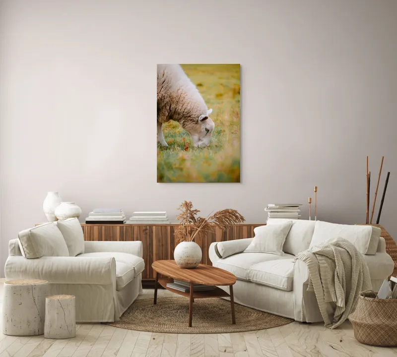 Tablou Canvas, "Oaia paște în liniștea pășunii", Oi, Pajiște, Verde, Blană, Mâncat, Natură, Serenitate, Liniște, Peisaj, Idilică, 70 x 100 cm – poza 4