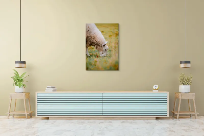 Tablou Canvas, "Oaia paște în liniștea pășunii", Oi, Pajiște, Verde, Blană, Mâncat, Natură, Serenitate, Liniște, Peisaj, Idilică, 70 x 100 cm – poza 5