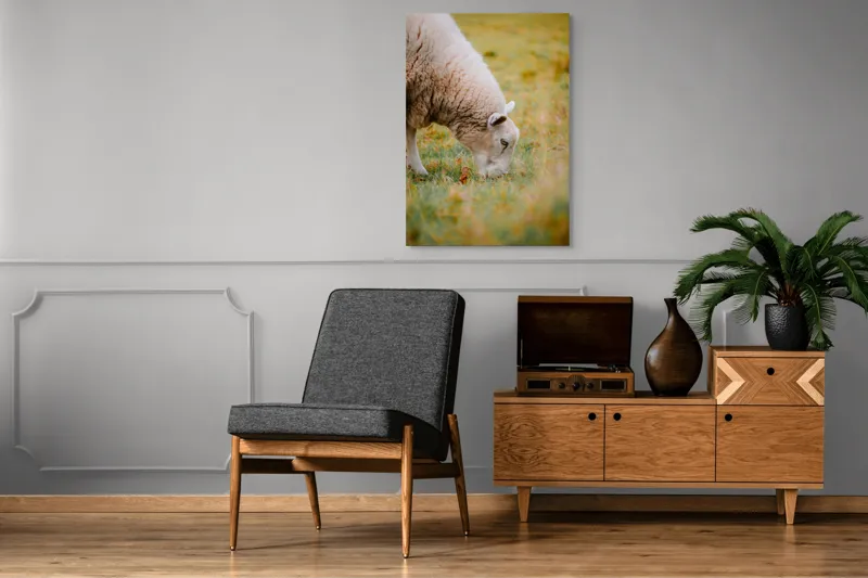 Tablou Canvas, "Oaia paște în liniștea pășunii", Oi, Pajiște, Verde, Blană, Mâncat, Natură, Serenitate, Liniște, Peisaj, Idilică, 70 x 100 cm – poza 6