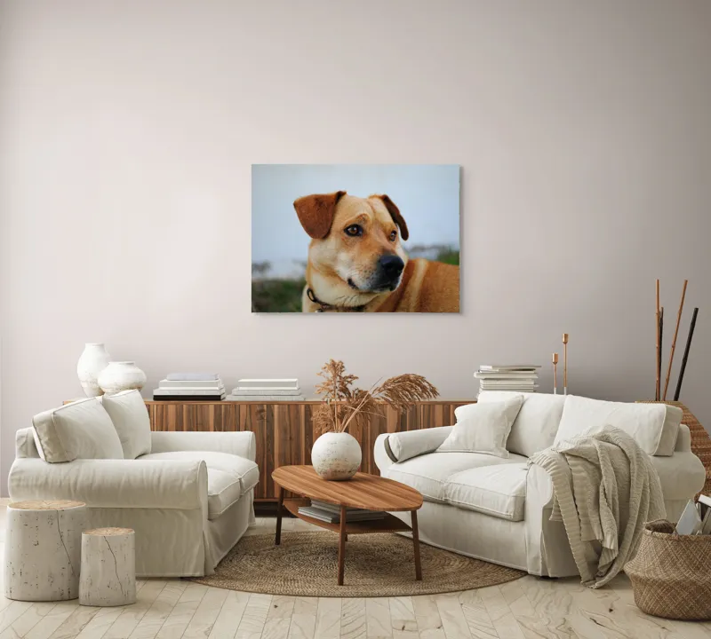 Tablou Canvas, "Câine visător în grădină verde", Scuză-mă, 100 x 70 cm – poza 3