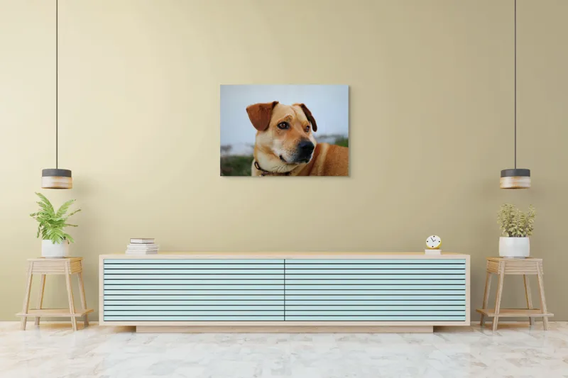Tablou Canvas, "Câine visător în grădină verde", Scuză-mă, 100 x 70 cm – poza 4