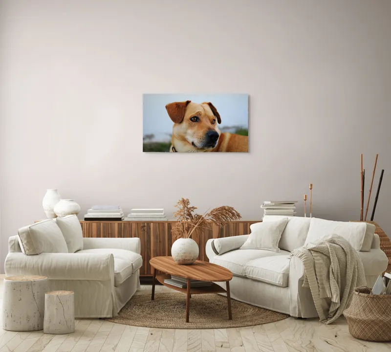 Tablou Canvas, "Câine visător în grădină verde", Scuză-mă, 90 x 50 cm – poza 4