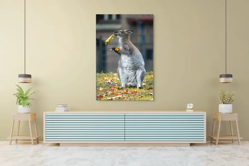 Tablou Canvas, "Kangurul visător și frunzele toamnei", Kangur, Frunze, Toamnă, Verdeață, Blană, Hrănire, Natură, Curiozitate, Echilibru, Frumusețe., 100 x 150 cm – poza 4