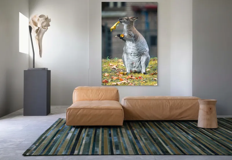 Tablou Canvas, "Kangurul visător și frunzele toamnei", Kangur, Frunze, Toamnă, Verdeață, Blană, Hrănire, Natură, Curiozitate, Echilibru, Frumusețe., 100 x 150 cm – poza 7