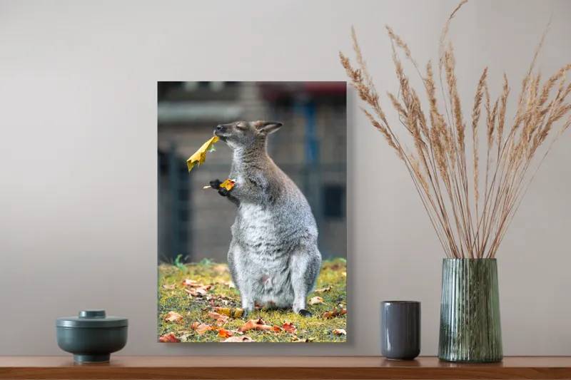 Tablou Canvas, "Kangurul visător și frunzele toamnei", Kangur, Frunze, Toamnă, Verdeață, Blană, Hrănire, Natură, Curiozitate, Echilibru, Frumusețe., 39 x 54 cm – poza 3