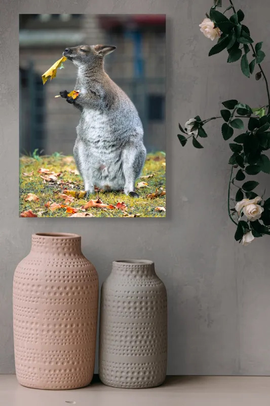 Tablou Canvas, "Kangurul visător și frunzele toamnei", Kangur, Frunze, Toamnă, Verdeață, Blană, Hrănire, Natură, Curiozitate, Echilibru, Frumusețe., 39 x 54 cm – poza 6