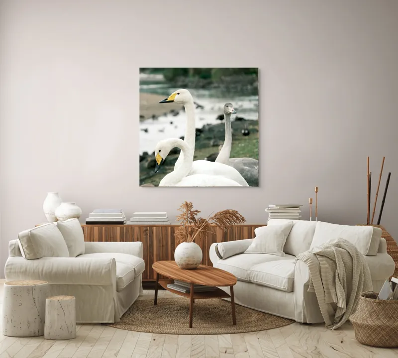 Tablou Canvas, "Grațioase lebede lângă apă liniștită", Grație, Eleganță, Serenitate, Liniște, Natură, Armonie, Frumusețe, Contemplare, 100 x 100 cm – poza 3