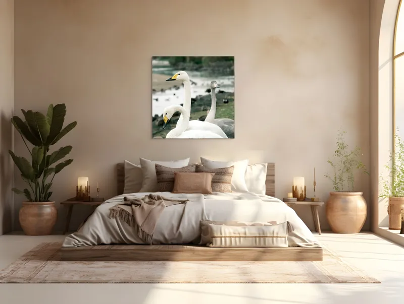 Tablou Canvas, "Grațioase lebede lângă apă liniștită", Grație, Eleganță, Serenitate, Liniște, Natură, Armonie, Frumusețe, Contemplare, 100 x 100 cm – poza 4