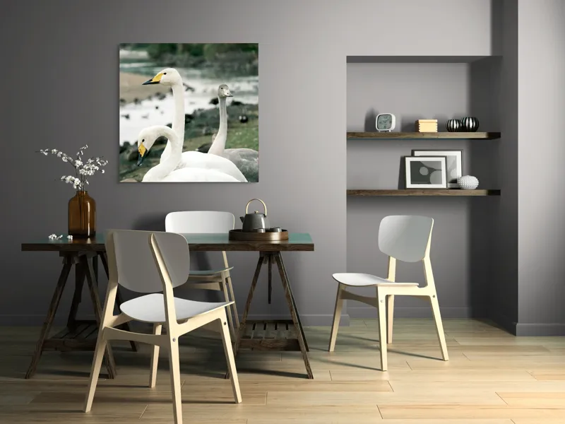 Tablou Canvas, "Grațioase lebede lângă apă liniștită", Grație, Eleganță, Serenitate, Liniște, Natură, Armonie, Frumusețe, Contemplare, 100 x 100 cm – poza 6