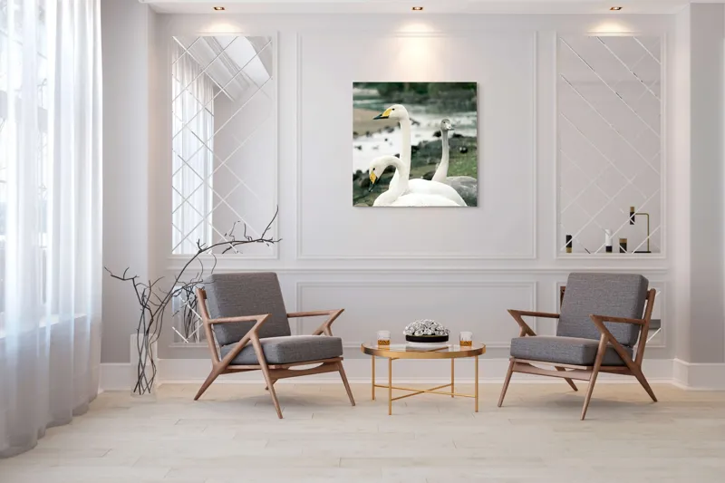 Tablou Canvas, "Grațioase lebede lângă apă liniștită", Grație, Eleganță, Serenitate, Liniște, Natură, Armonie, Frumusețe, Contemplare, 100 x 100 cm – poza 7
