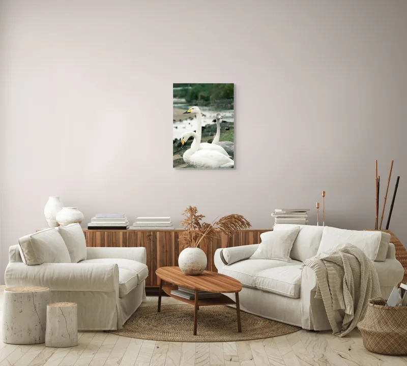 Tablou Canvas, "Grațioase lebede lângă apă liniștită", Grație, Eleganță, Serenitate, Liniște, Natură, Armonie, Frumusețe, Contemplare, 50 x 70 cm – poza 4