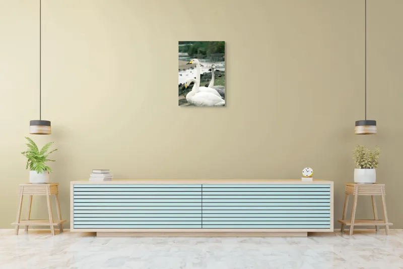 Tablou Canvas, "Grațioase lebede lângă apă liniștită", Grație, Eleganță, Serenitate, Liniște, Natură, Armonie, Frumusețe, Contemplare, 50 x 70 cm – poza 6