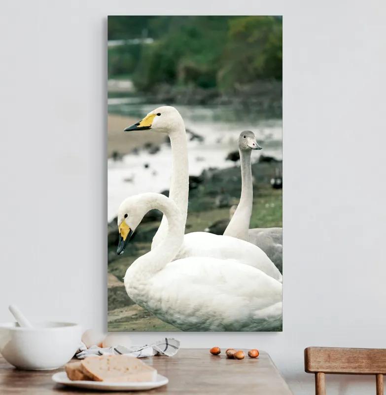Tablou Canvas, "Grațioase lebede lângă apă liniștită", Grație, Eleganță, Serenitate, Liniște, Natură, Armonie, Frumusețe, Contemplare, 50 x 90 cm – poza 3