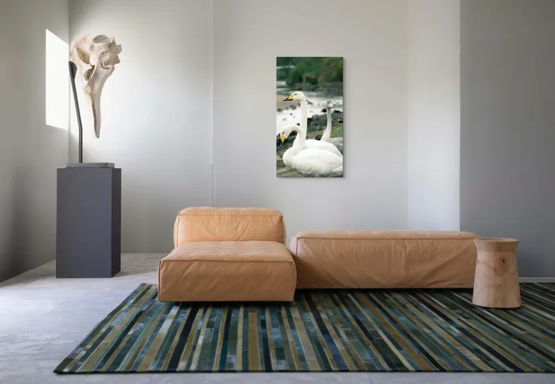 Tablou Canvas, "Grațioase lebede lângă apă liniștită", Grație, Eleganță, Serenitate, Liniște, Natură, Armonie, Frumusețe, Contemplare, 50 x 90 cm – poza 5