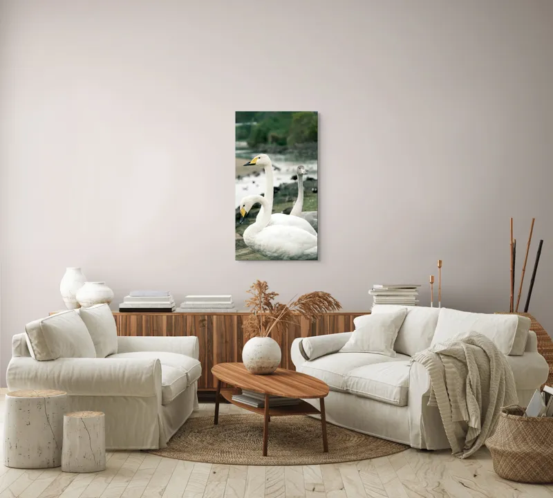Tablou Canvas, "Grațioase lebede lângă apă liniștită", Grație, Eleganță, Serenitate, Liniște, Natură, Armonie, Frumusețe, Contemplare, 50 x 90 cm – poza 7