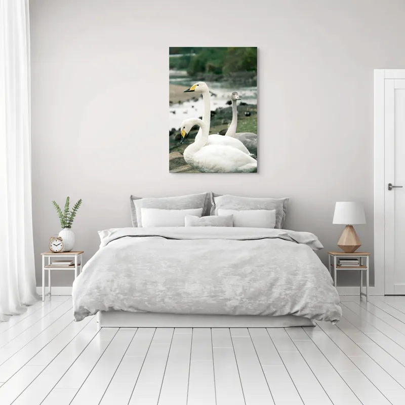 Tablou Canvas, "Grațioase lebede lângă apă liniștită", Grație, Eleganță, Serenitate, Liniște, Natură, Armonie, Frumusețe, Contemplare, 70 x 100 cm – poza 3