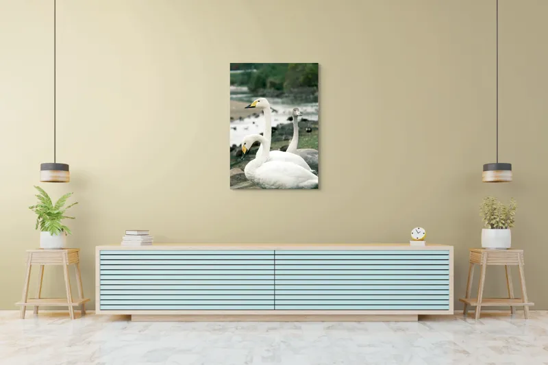 Tablou Canvas, "Grațioase lebede lângă apă liniștită", Grație, Eleganță, Serenitate, Liniște, Natură, Armonie, Frumusețe, Contemplare, 70 x 100 cm – poza 5