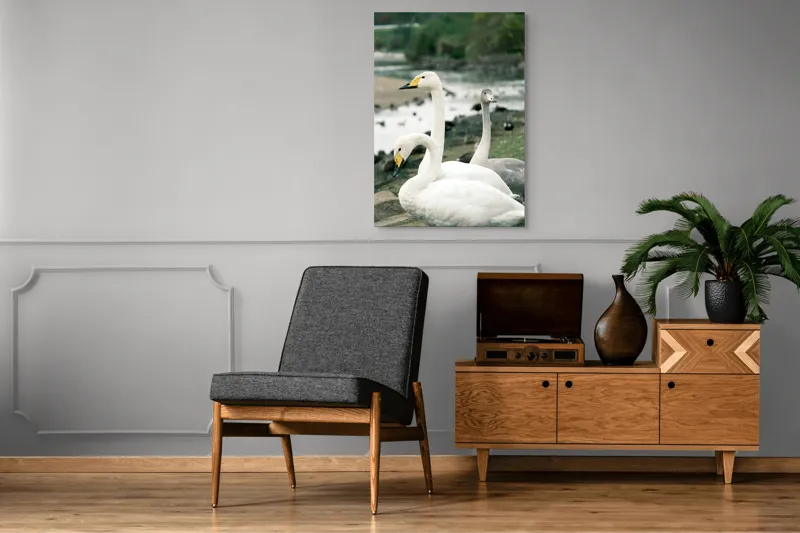 Tablou Canvas, "Grațioase lebede lângă apă liniștită", Grație, Eleganță, Serenitate, Liniște, Natură, Armonie, Frumusețe, Contemplare, 70 x 100 cm – poza 6