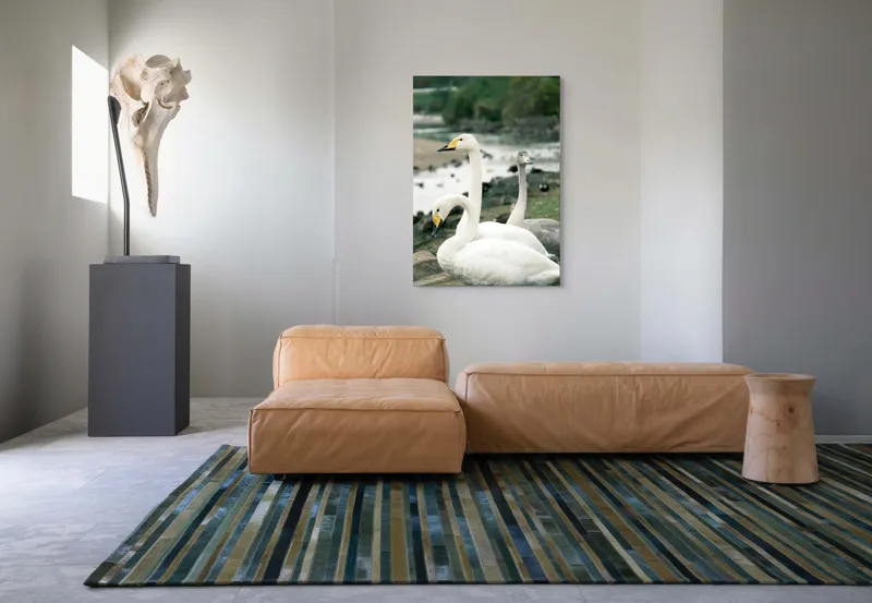 Tablou Canvas, "Grațioase lebede lângă apă liniștită", Grație, Eleganță, Serenitate, Liniște, Natură, Armonie, Frumusețe, Contemplare, 70 x 100 cm – poza 7