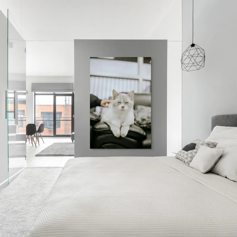 Tablou Canvas, "Pisica fericită pe canapea neagră", Pisică, Albă, Somnoroasă, Canapea, Relaxare, Blăniță, Pufos, Odihnă, 100 x 150 cm – poza 5