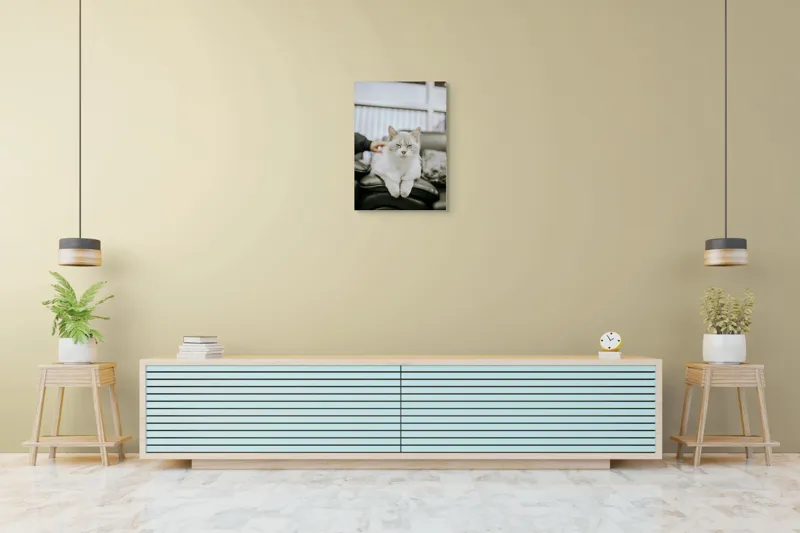 Tablou Canvas, "Pisica fericită pe canapea neagră", Pisică, Albă, Somnoroasă, Canapea, Relaxare, Blăniță, Pufos, Odihnă, 50 x 70 cm – poza 6