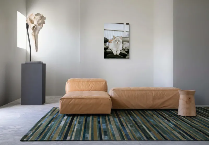 Tablou Canvas, "Pisica fericită pe canapea neagră", Pisică, Albă, Somnoroasă, Canapea, Relaxare, Blăniță, Pufos, Odihnă, 50 x 70 cm – poza 7
