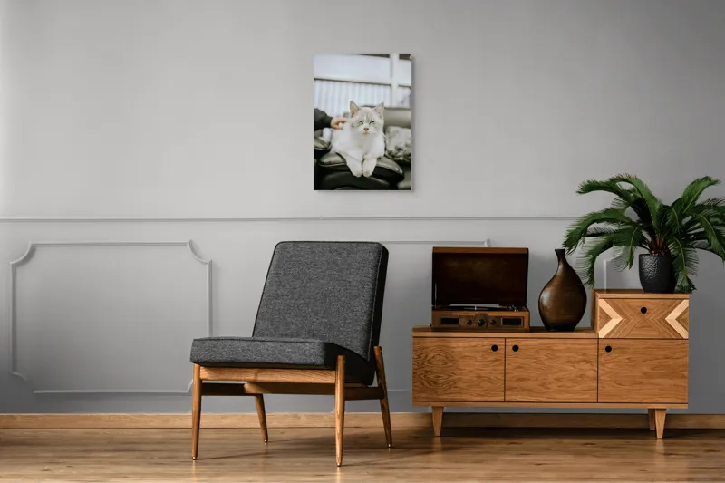 Tablou Canvas, "Pisica fericită pe canapea neagră", Pisică, Albă, Somnoroasă, Canapea, Relaxare, Blăniță, Pufos, Odihnă, 50 x 70 cm – poza 8