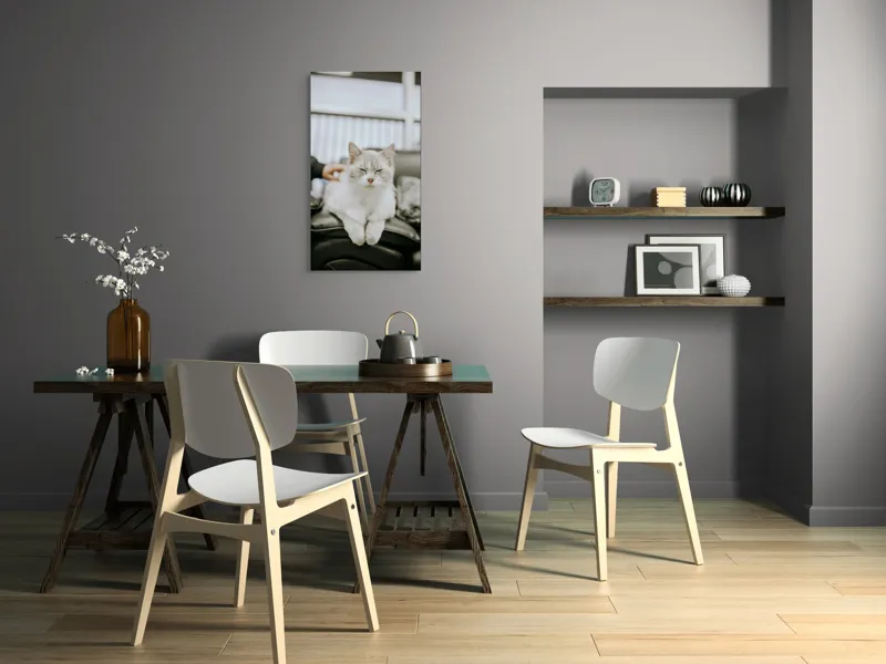 Tablou Canvas, "Pisica fericită pe canapea neagră", Pisică, Albă, Somnoroasă, Canapea, Relaxare, Blăniță, Pufos, Odihnă, 50 x 90 cm – poza 4