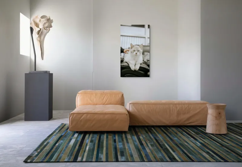 Tablou Canvas, "Pisica fericită pe canapea neagră", Pisică, Albă, Somnoroasă, Canapea, Relaxare, Blăniță, Pufos, Odihnă, 50 x 90 cm – poza 5