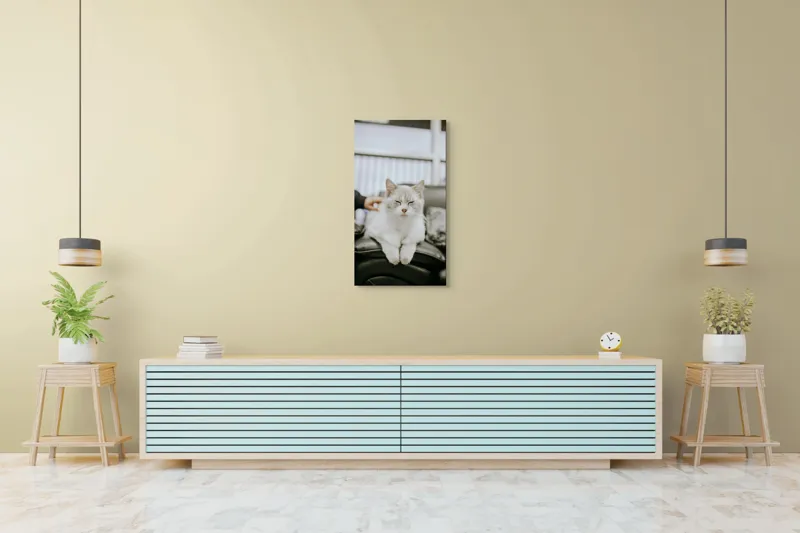 Tablou Canvas, "Pisica fericită pe canapea neagră", Pisică, Albă, Somnoroasă, Canapea, Relaxare, Blăniță, Pufos, Odihnă, 50 x 90 cm – poza 6