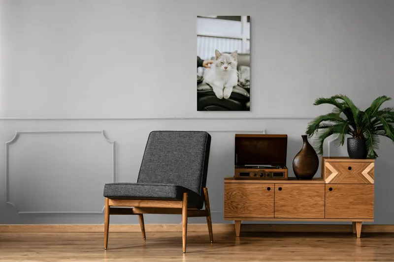 Tablou Canvas, "Pisica fericită pe canapea neagră", Pisică, Albă, Somnoroasă, Canapea, Relaxare, Blăniță, Pufos, Odihnă, 50 x 90 cm – poza 8
