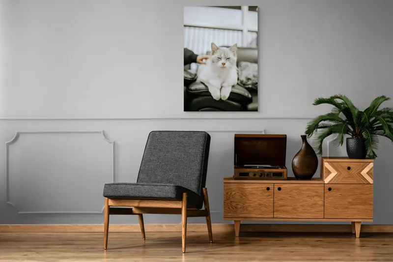 Tablou Canvas, "Pisica fericită pe canapea neagră", Pisică, Albă, Somnoroasă, Canapea, Relaxare, Blăniță, Pufos, Odihnă, 70 x 100 cm – poza 6