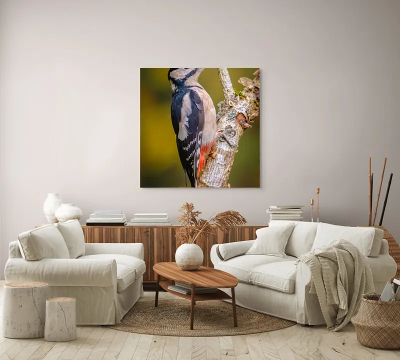 Tablou Canvas, "Ciocănitoarea pe trunchi de copac", Pene, Culori, Cioc, Pădure, Copac, Natură, Rățușcă, Privește, 100 x 100 cm – poza 3