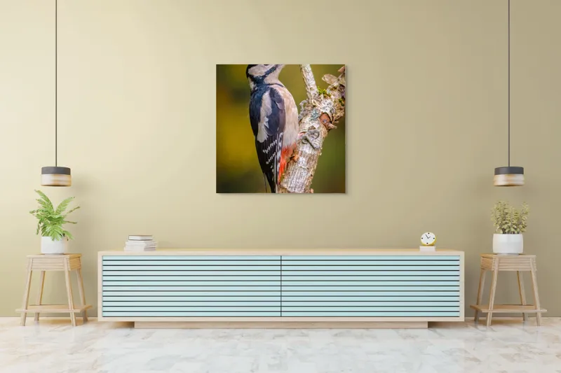 Tablou Canvas, "Ciocănitoarea pe trunchi de copac", Pene, Culori, Cioc, Pădure, Copac, Natură, Rățușcă, Privește, 100 x 100 cm – poza 5