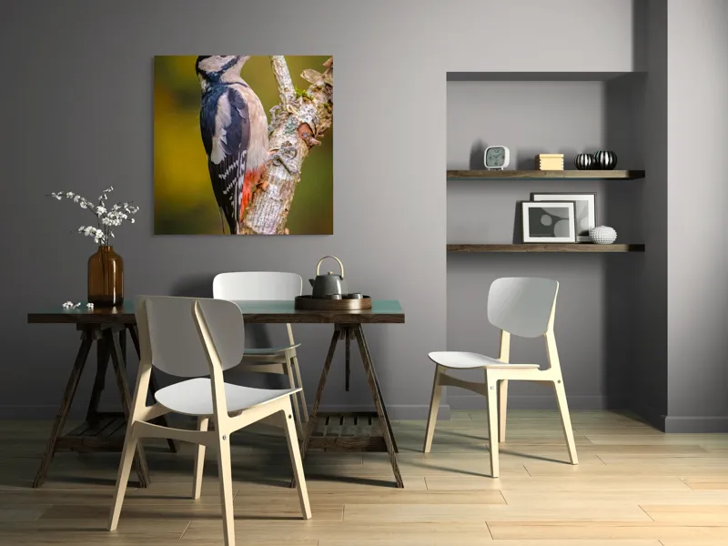 Tablou Canvas, "Ciocănitoarea pe trunchi de copac", Pene, Culori, Cioc, Pădure, Copac, Natură, Rățușcă, Privește, 100 x 100 cm – poza 6