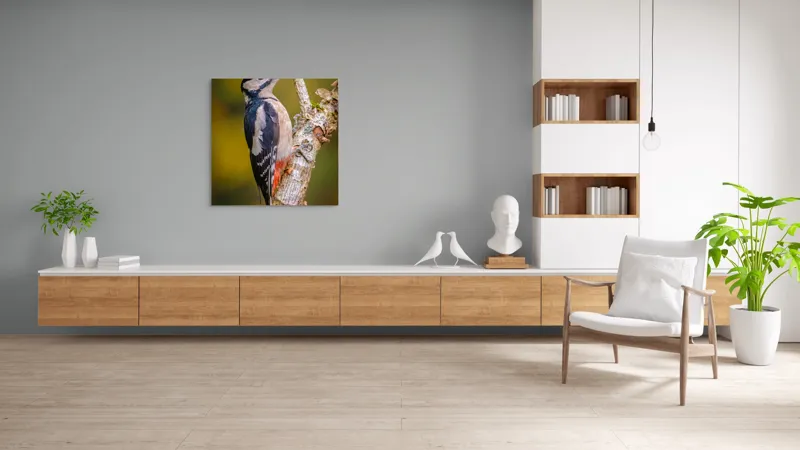 Tablou Canvas, "Ciocănitoarea pe trunchi de copac", Pene, Culori, Cioc, Pădure, Copac, Natură, Rățușcă, Privește, 100 x 100 cm – poza 8