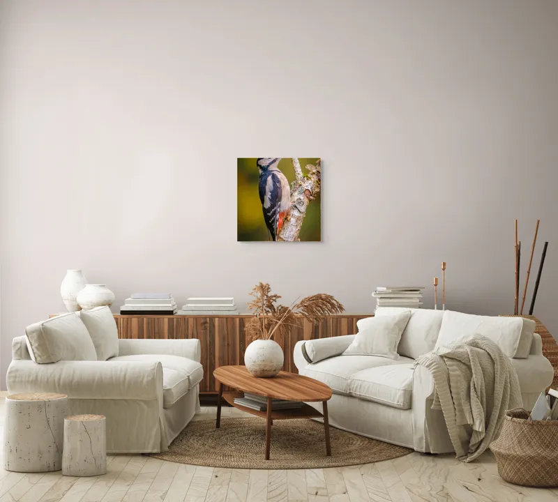 Tablou Canvas, "Ciocănitoarea pe trunchi de copac", Pene, Culori, Cioc, Pădure, Copac, Natură, Rățușcă, Privește, 50 x 50 cm – poza 7