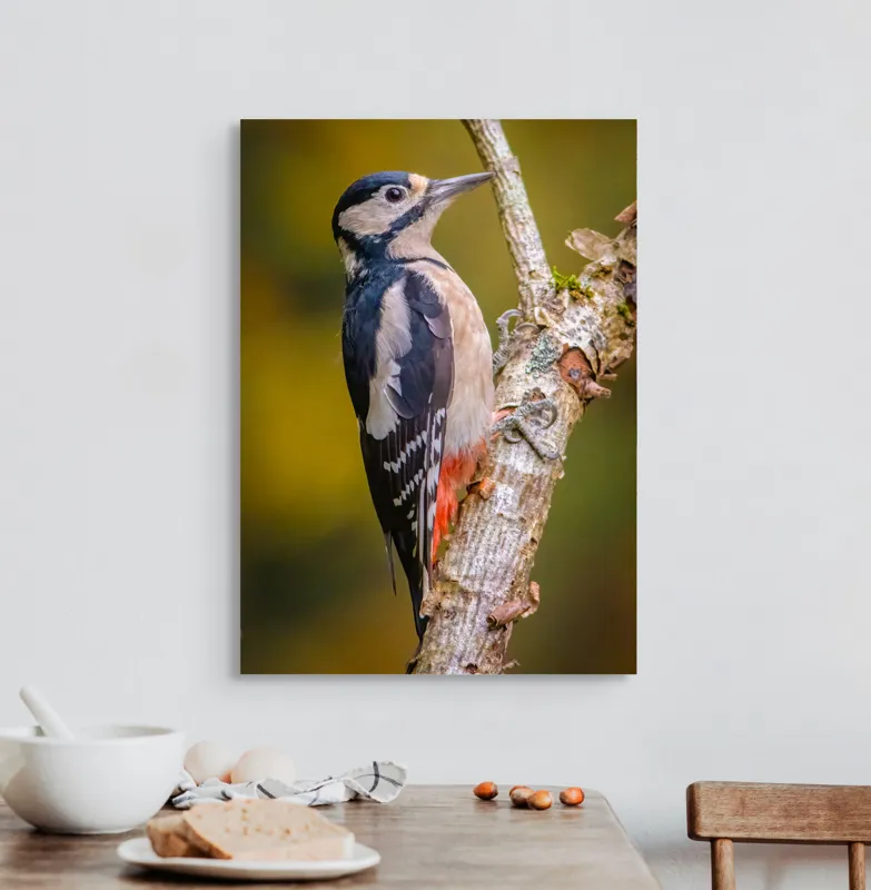 Tablou Canvas, "Ciocănitoarea pe trunchi de copac", Pene, Culori, Cioc, Pădure, Copac, Natură, Rățușcă, Privește, 50 x 70 cm – poza 3