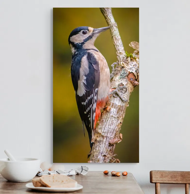 Tablou Canvas, "Ciocănitoarea pe trunchi de copac", Pene, Culori, Cioc, Pădure, Copac, Natură, Rățușcă, Privește, 50 x 90 cm – poza 3