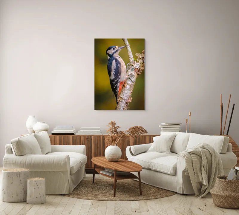 Tablou Canvas, "Ciocănitoarea pe trunchi de copac", Pene, Culori, Cioc, Pădure, Copac, Natură, Rățușcă, Privește, 70 x 100 cm – poza 4