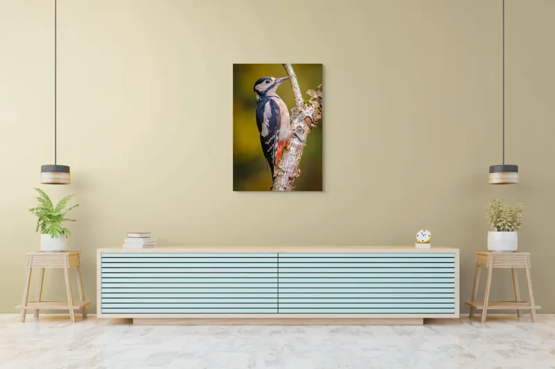Tablou Canvas, "Ciocănitoarea pe trunchi de copac", Pene, Culori, Cioc, Pădure, Copac, Natură, Rățușcă, Privește, 70 x 100 cm – poza 5