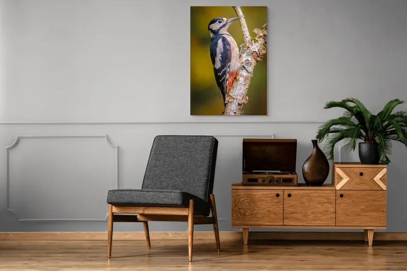Tablou Canvas, "Ciocănitoarea pe trunchi de copac", Pene, Culori, Cioc, Pădure, Copac, Natură, Rățușcă, Privește, 70 x 100 cm – poza 6